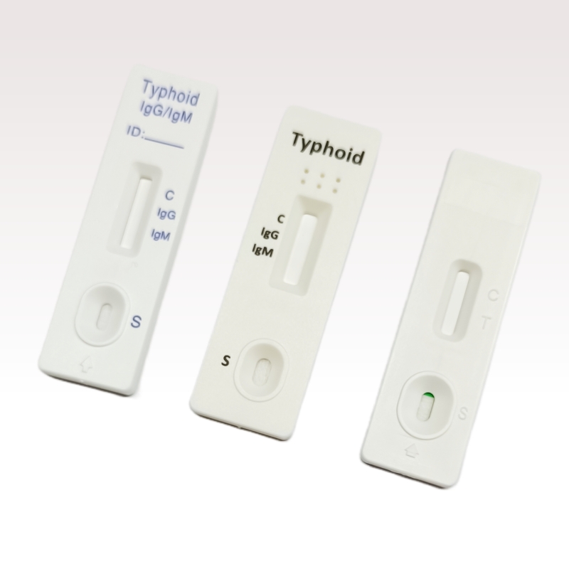 Typhoid IgG/IgM Rapid test cassette