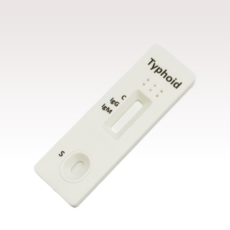 Typhoid IgG/IgM Rapid test cassette