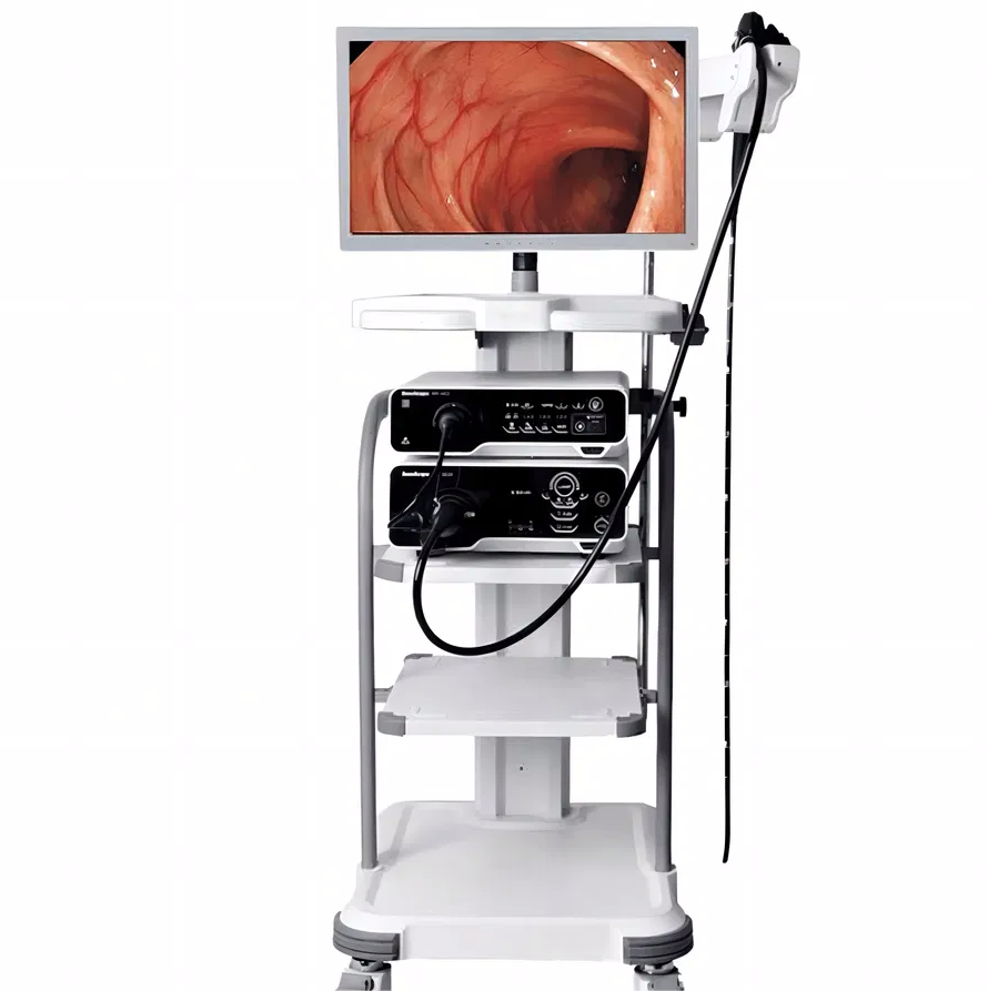 Endoscope