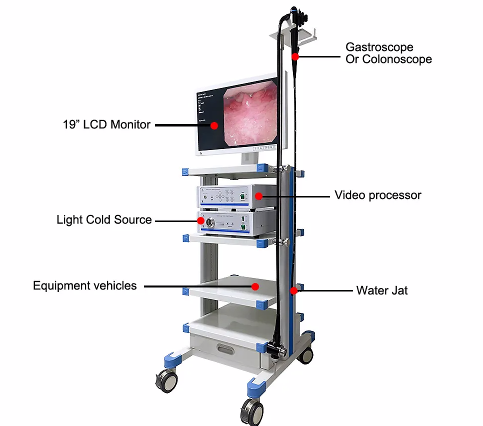 medical Endoscope