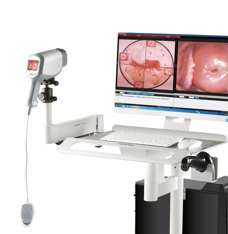 Medical Endoscope