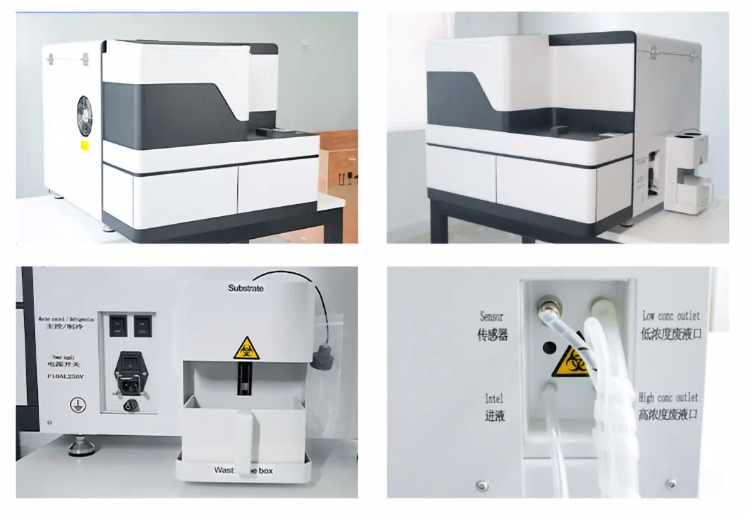 chemiluminescence Immunoassay