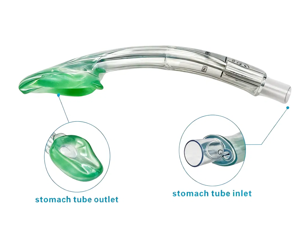 laryngeal mask
