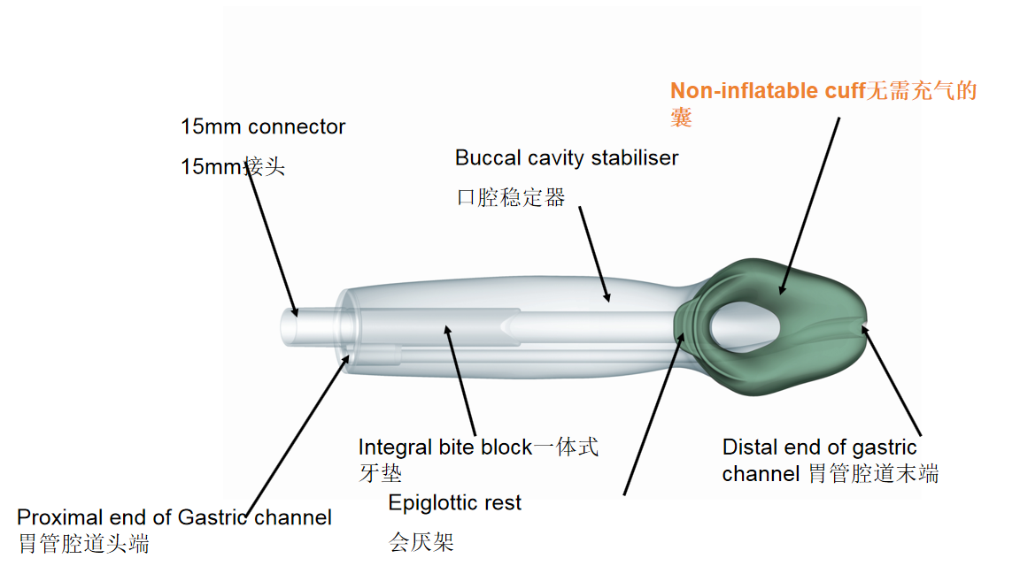 laryngeal mask