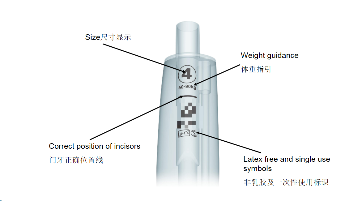 Laryngeal Mask Airway