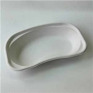Kidney Dish