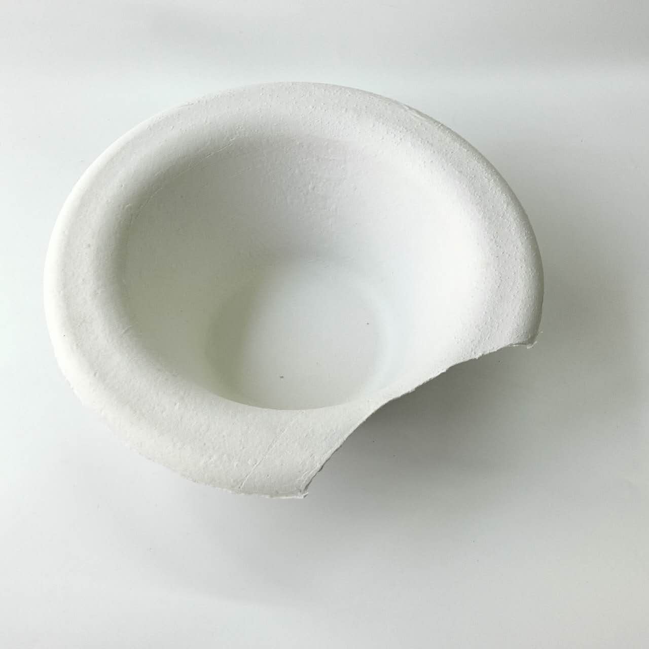 Kidney Dish