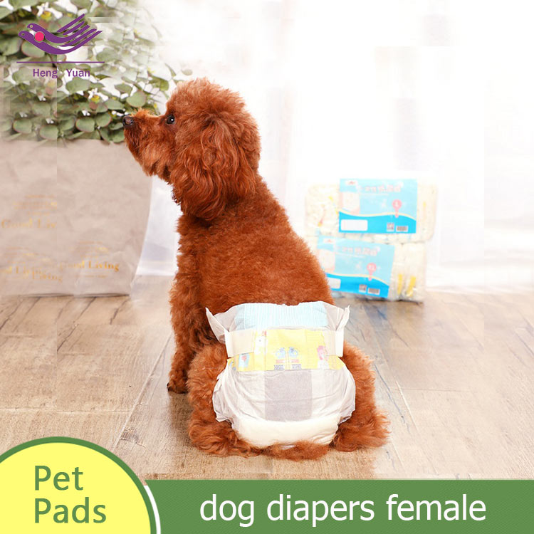 Supply dog diapers female l dog pet incontinence products XSXL