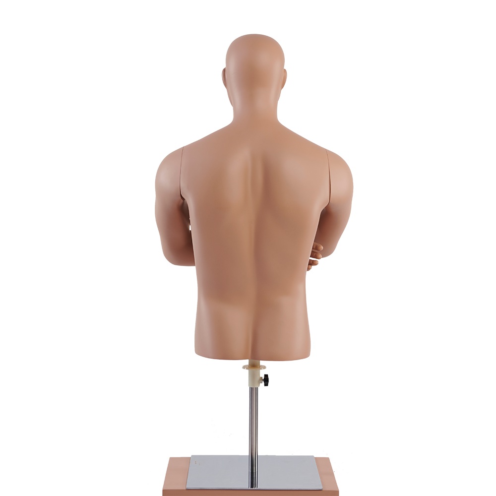 Half Body Male Torso Dummy Dress Form Tailoring