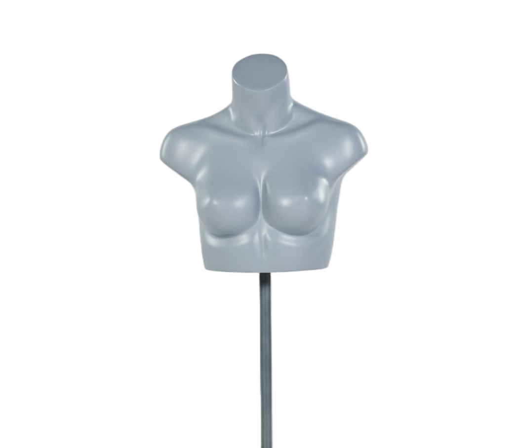 Maniquí de exhibición de sujetador femenino