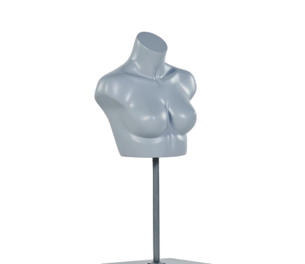 Maniquí de exhibición de sujetador femenino