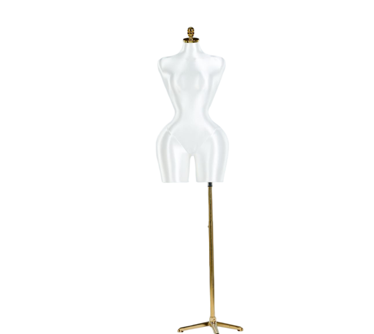 Modelo de exhibición de medio cuerpo de mujer blanca