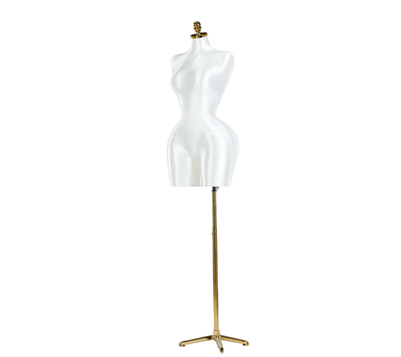 Modelo de exhibición de medio cuerpo de mujer blanca