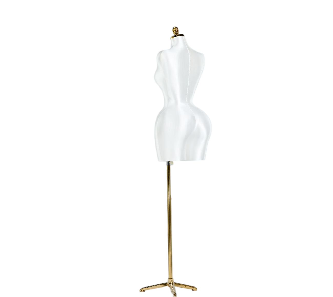 Modelo de exhibición de medio cuerpo de mujer blanca
