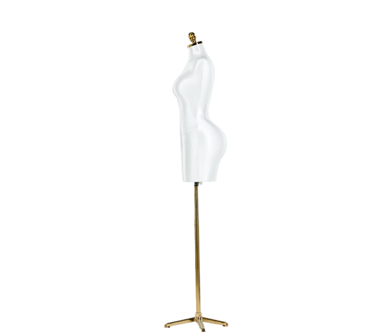 Modelo de exhibición de medio cuerpo de mujer blanca