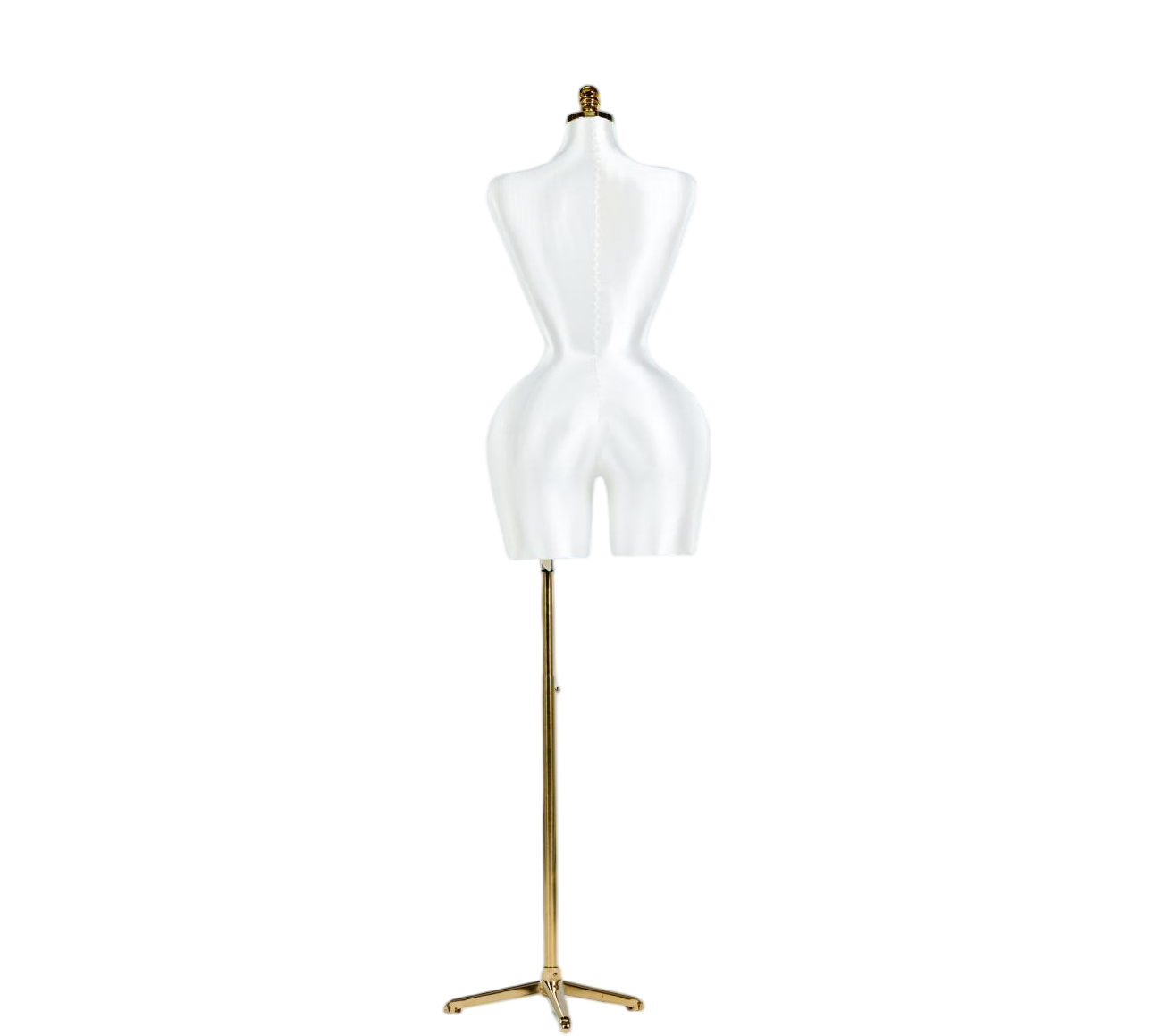 Modelo de exhibición de medio cuerpo de mujer blanca
