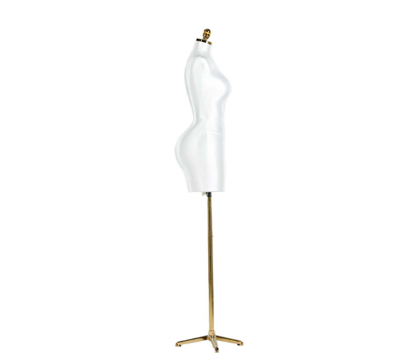Modelo de exhibición de medio cuerpo de mujer blanca