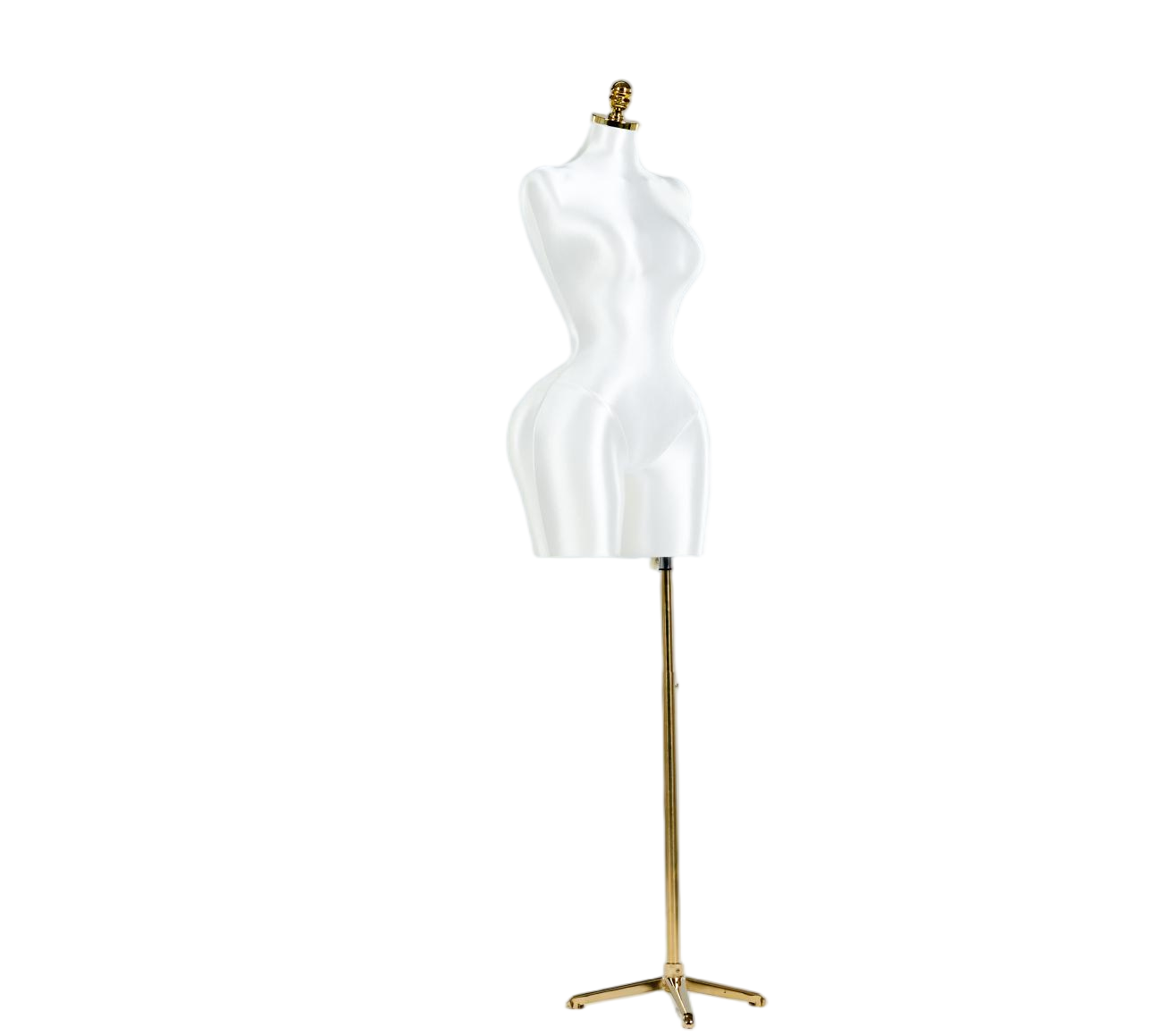 Modelo de exhibición de medio cuerpo de mujer blanca