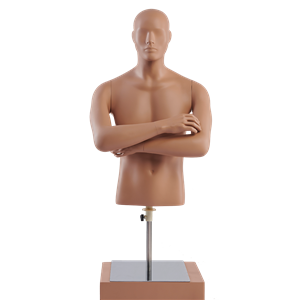 half body male torso dummy dress form tailoring