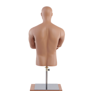 half body dummy