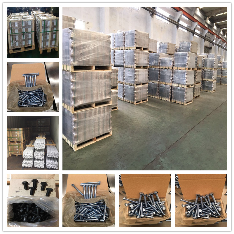 China stainless steel bolts