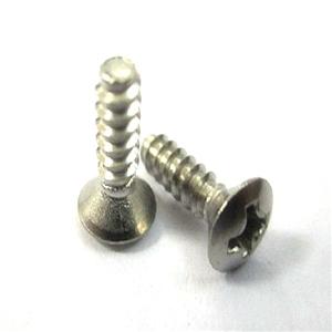 cross-recess-countersunk-raised-head-screws