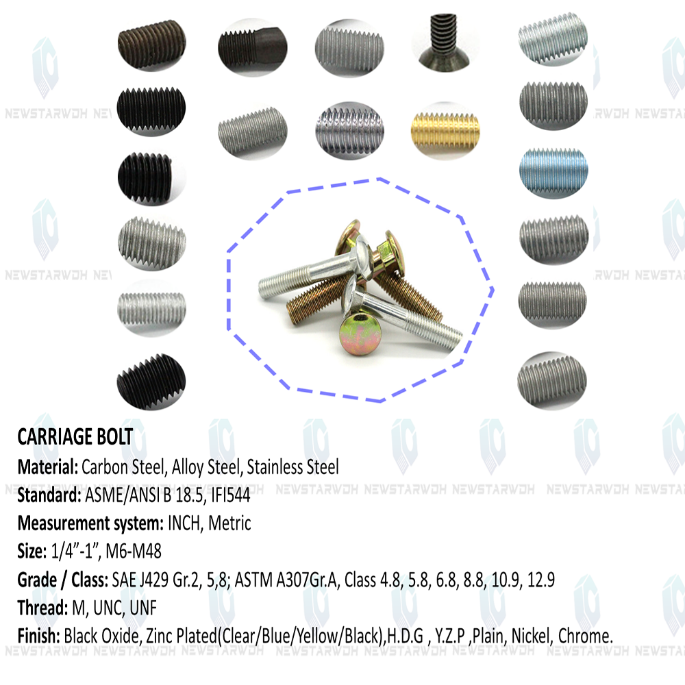 China m5 carriage bolt 