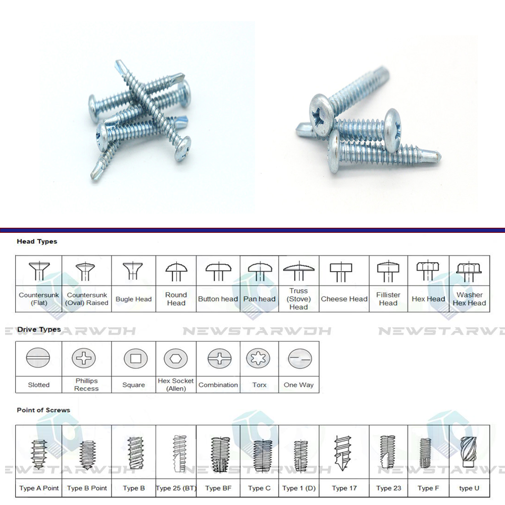 tête cylindrique de vis autoperceuses 