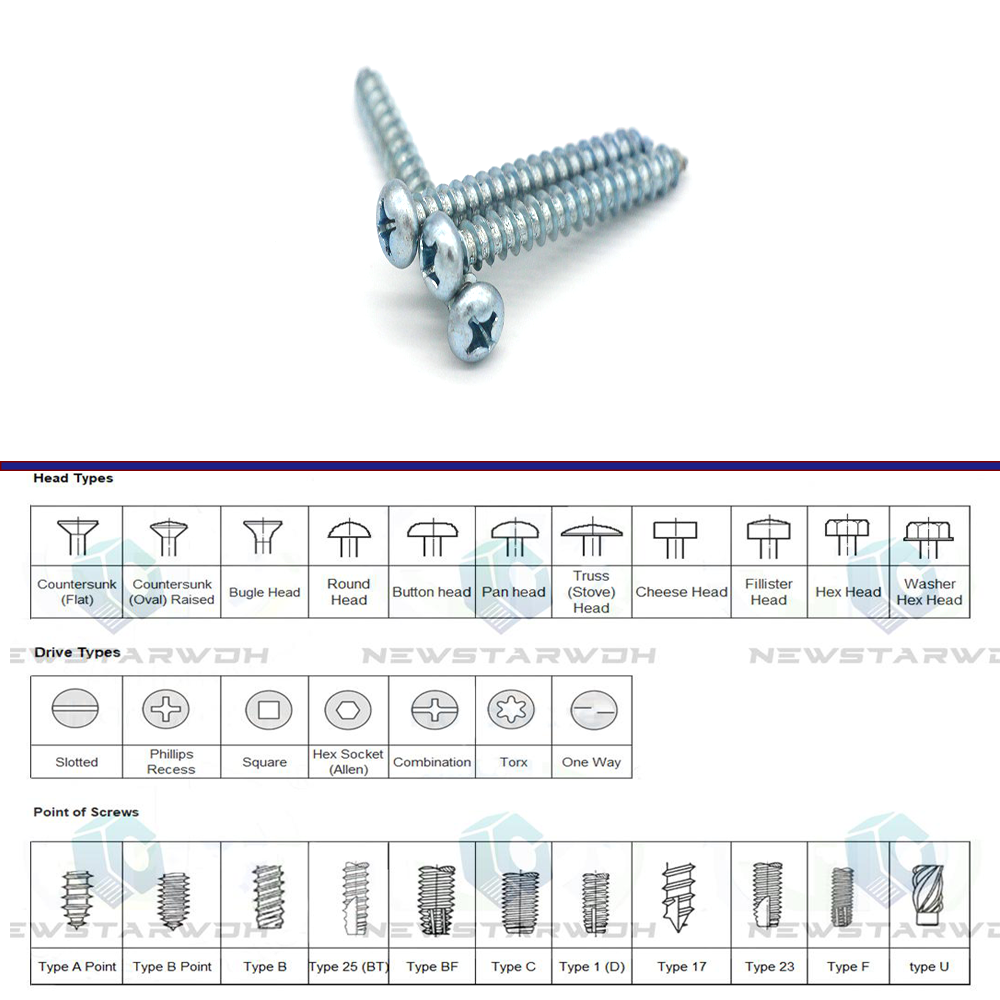 China phillips pan head self tapping screw wholesale customized