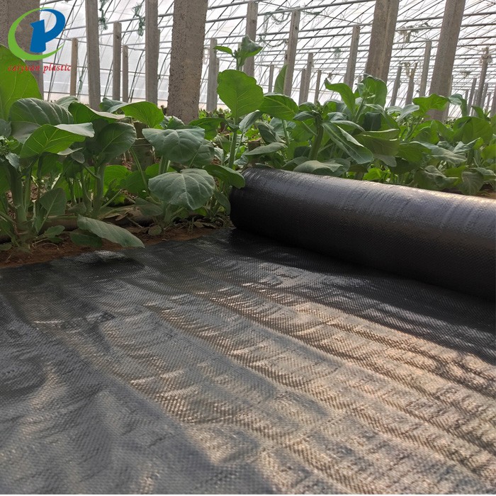 5 Simple Techniques For The Best Landscape Fabric & Weed Barrier Prevention ...