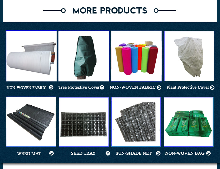PP Spunbond Nonwoven Fabric Nonwoven Fabric