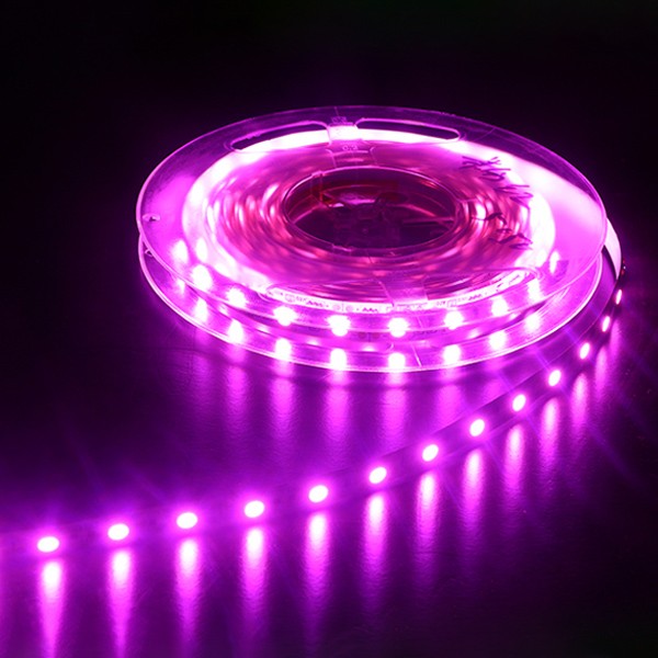 LED Flexible Strip - Colorful-Light Series - Red-Green-Blue-Yellow-Pink-Amber 3528 120LED 12V 10mm GL-12-F05