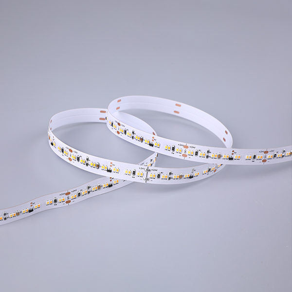 LED Flexible Strip - CCT Tunable Series - Dim-to-Warm PWM 2216 252LED 24V Pro GL-24-LN27