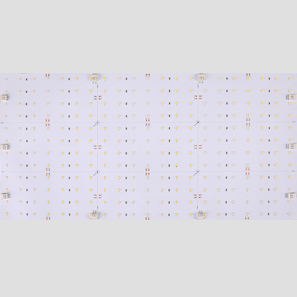 LED Flexible Strip - Sign Backlight Series - Light Sheet High-Efficacy 2835 252LED 24V - GL-24-FP20