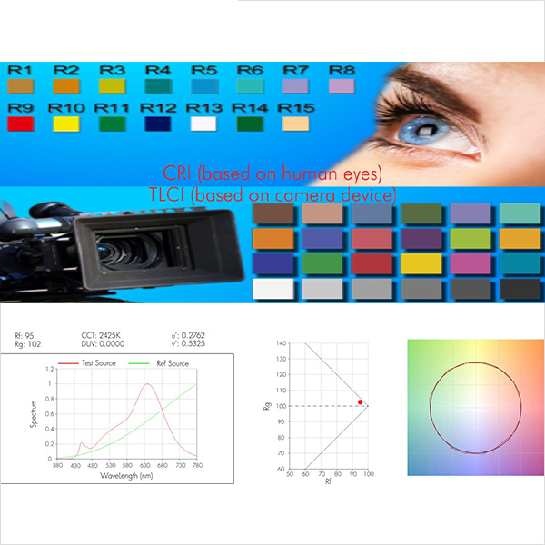 LED Flexible Strip - Full-Spectrum Series - Light Sheet 2835 288LED 24V GL-24-FG82