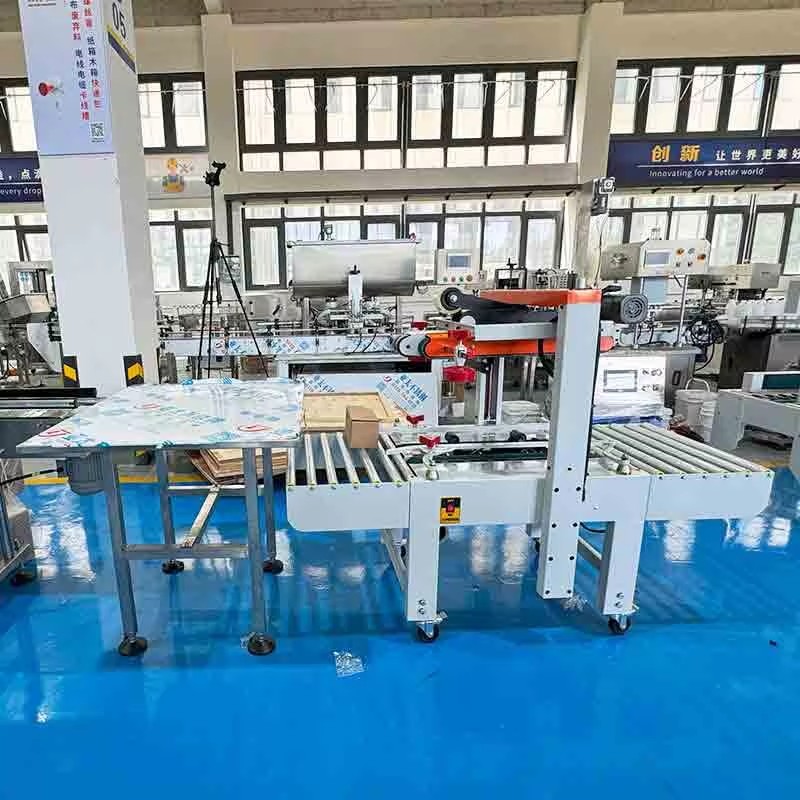 Automatic Servo Motor Piston Antifreeze Production Line