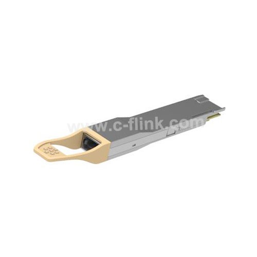주문 400G QSFP-DD SR8 PAM4 100m 광 트랜시버,400G QSFP-DD SR8 PAM4 100m 광 트랜시버 가격,400G QSFP-DD SR8 PAM4 100m 광 트랜시버 브랜드,400G QSFP-DD SR8 PAM4 100m 광 트랜시버 제조업체,400G QSFP-DD SR8 PAM4 100m 광 트랜시버 인용,400G QSFP-DD SR8 PAM4 100m 광 트랜시버 회사,