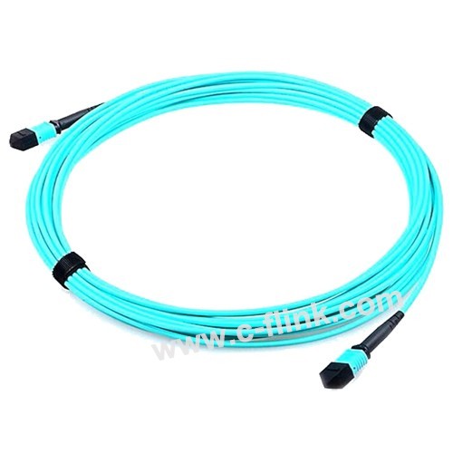 MTP / MPO OM3 Multimode Fiber Optic Patch Cable