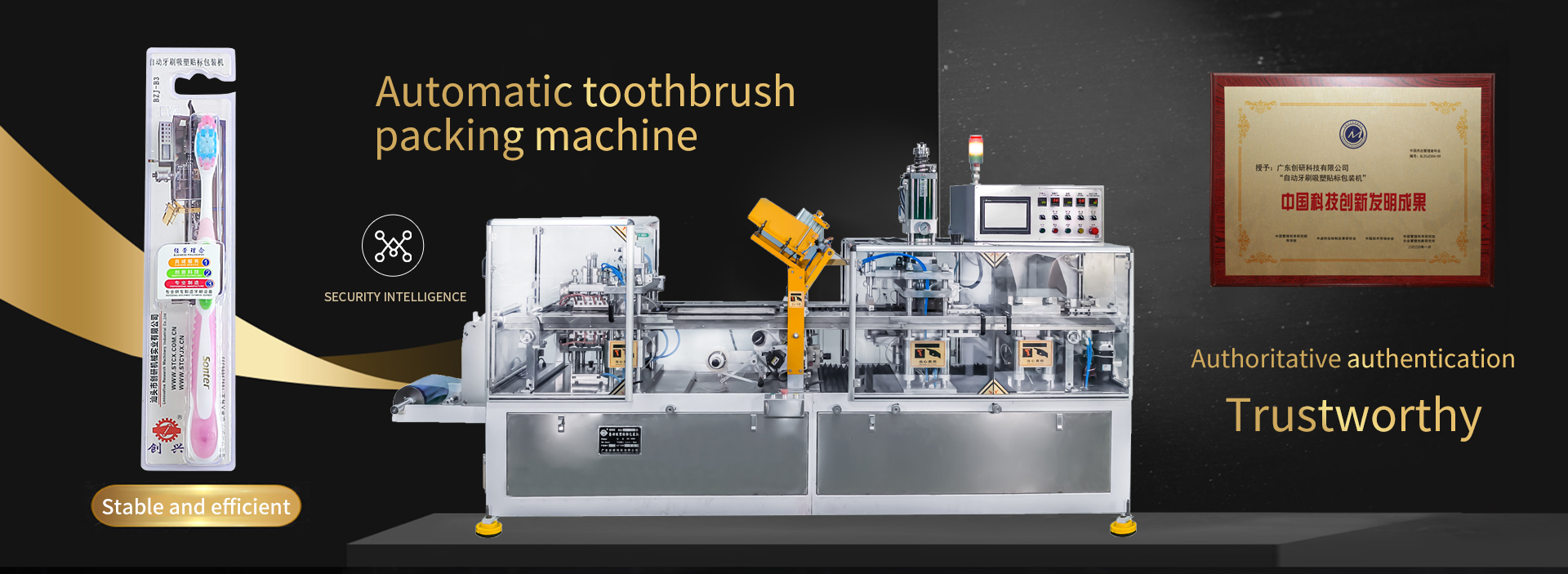 Blister Packaging Machine