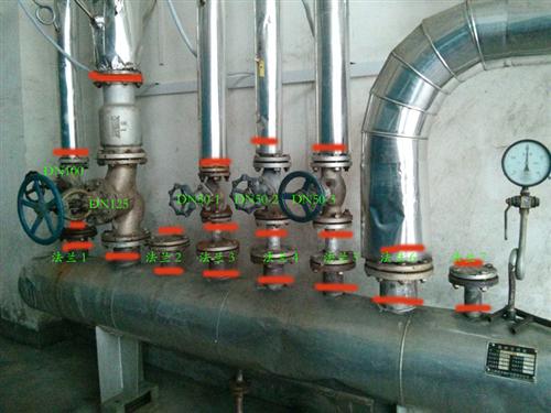 Jiangxi Guangyou Boiler House 2013