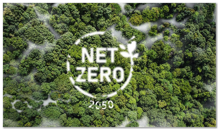 global net zero emissions
