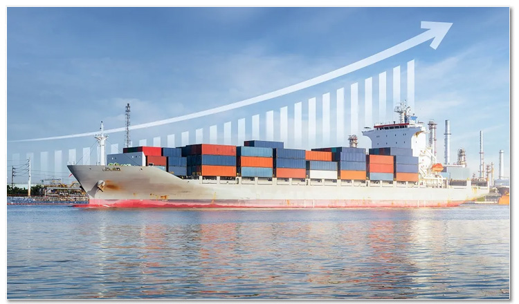 apparel freight apparel freight