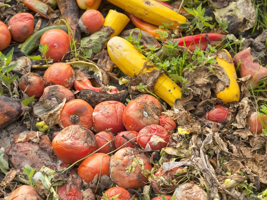 Embalagem compostável