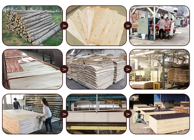 phenolic plywood/board