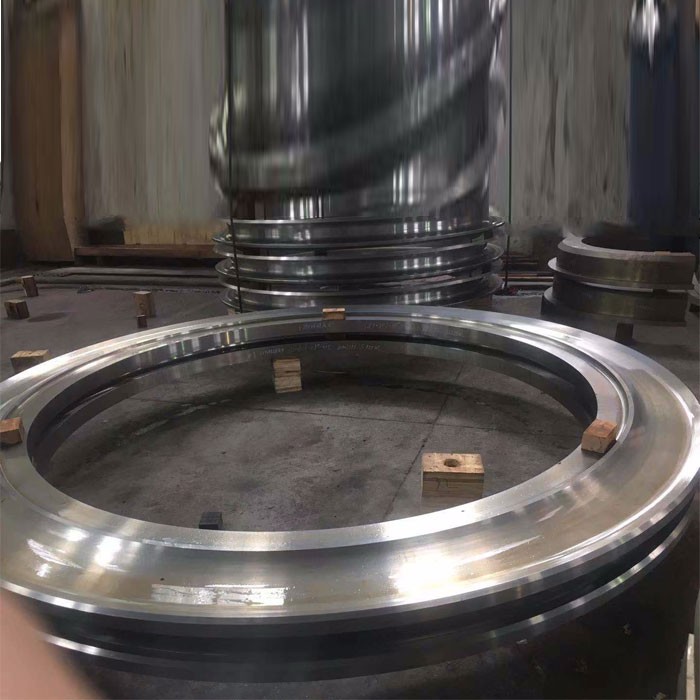 Forged Seamless Rotor House Flanges