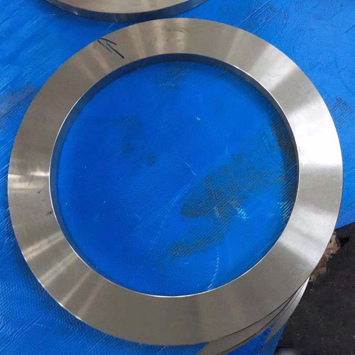Forged Stainless Plate Flanges