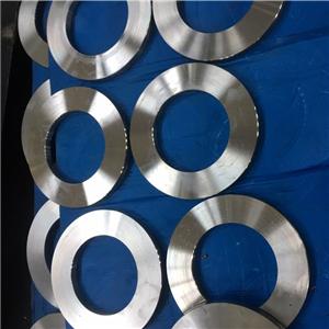 Forged Nickel Alloy Plate Flanges
