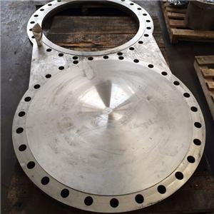 Forged Stainless Special Flanges