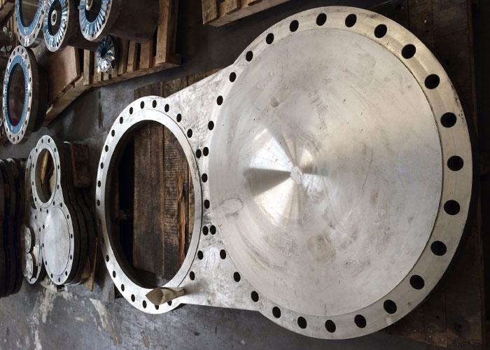 Stainless Special Flanges