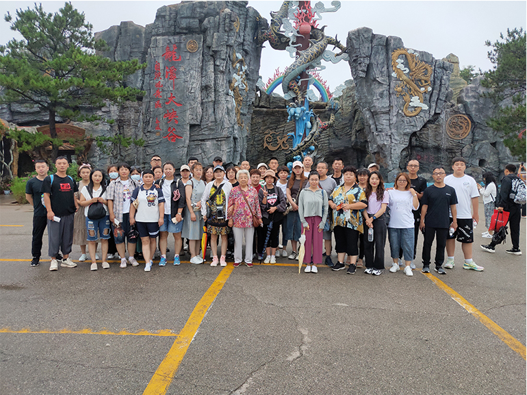 formación de equipos